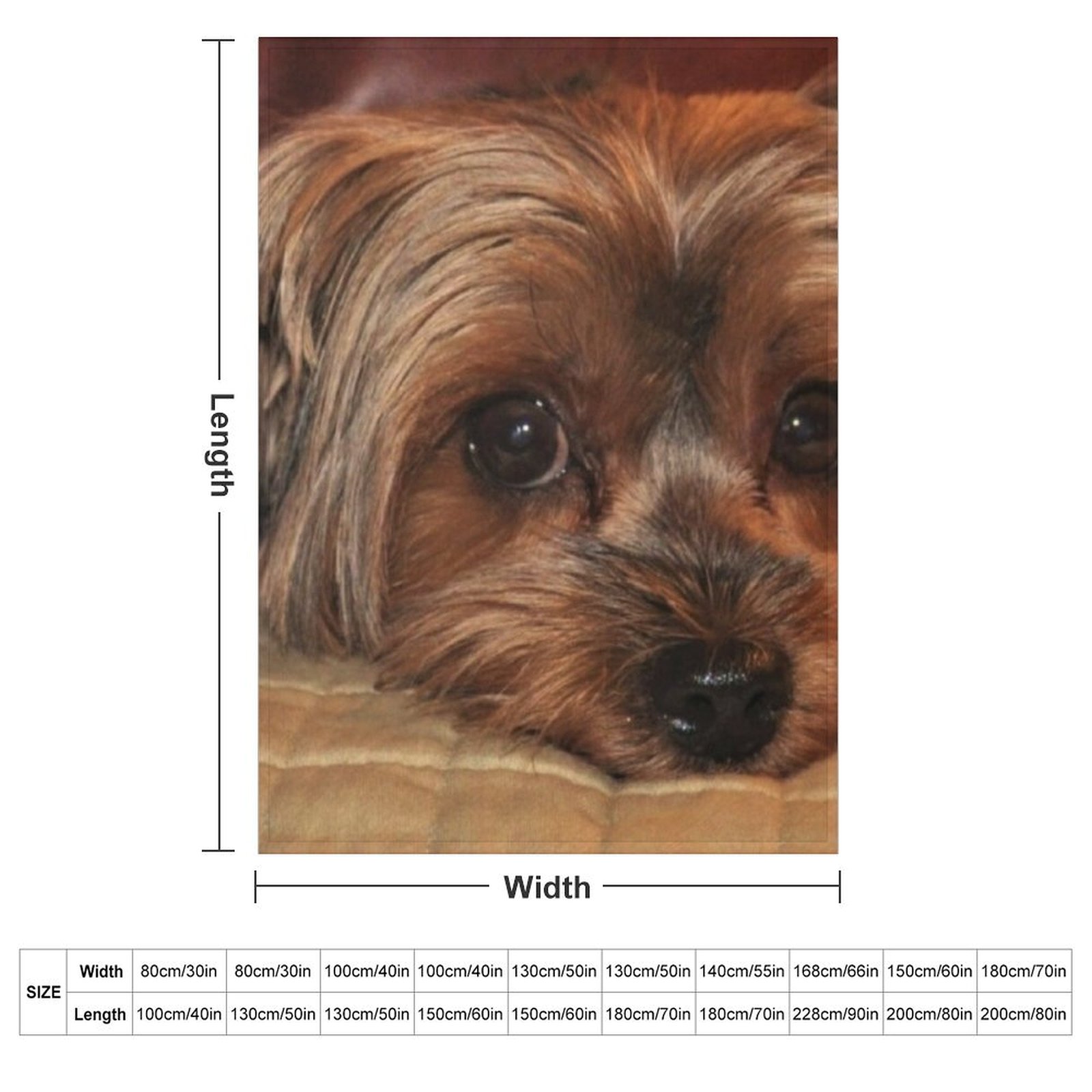 Cute Yorkshire Terrier Yorkie  - 3D Printing Yorkshire บทวิจารณ์และราคา