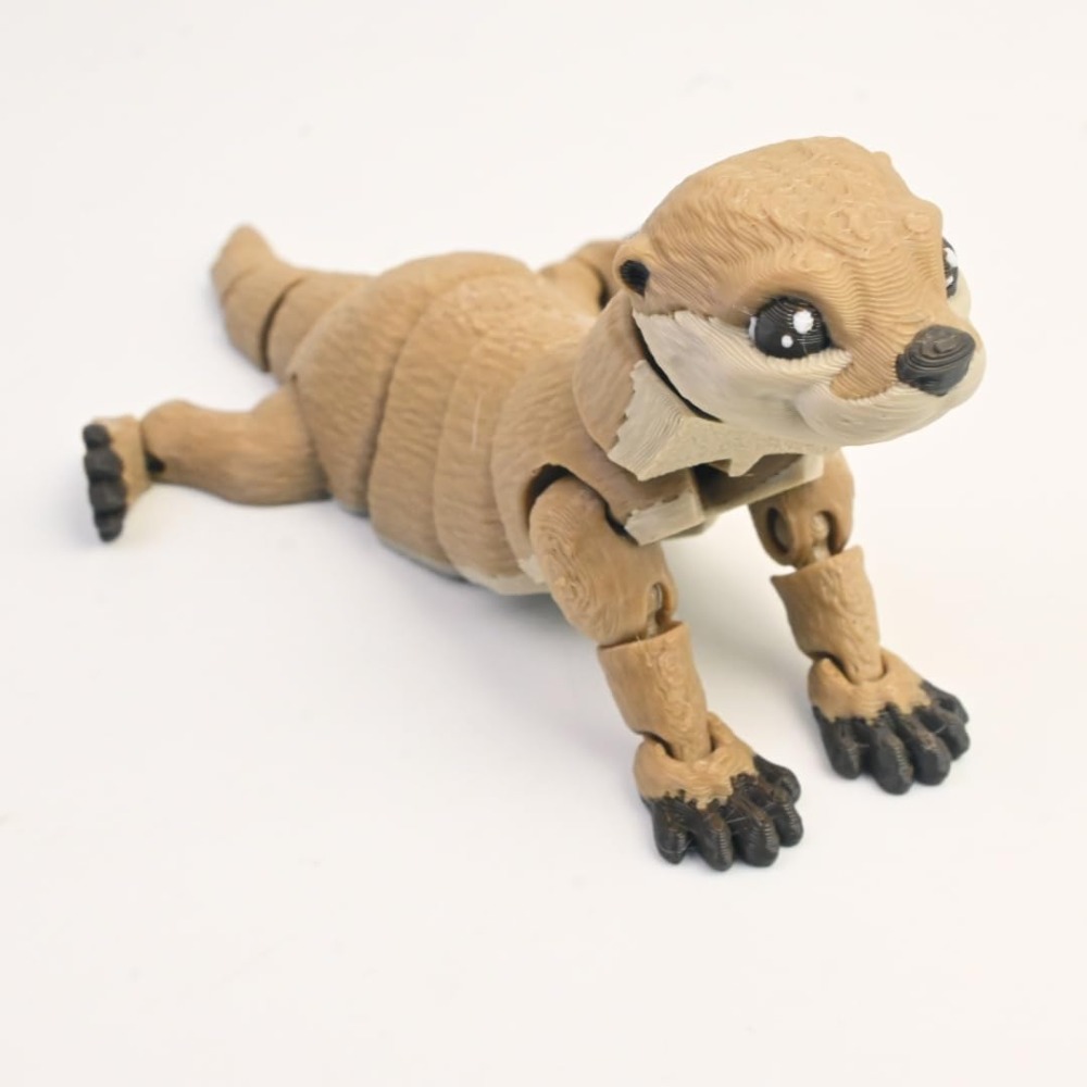 Cute 3D Printed Otter 3D Anima - 3D Printing Fidget Toys บทวิจารณ์และราคา