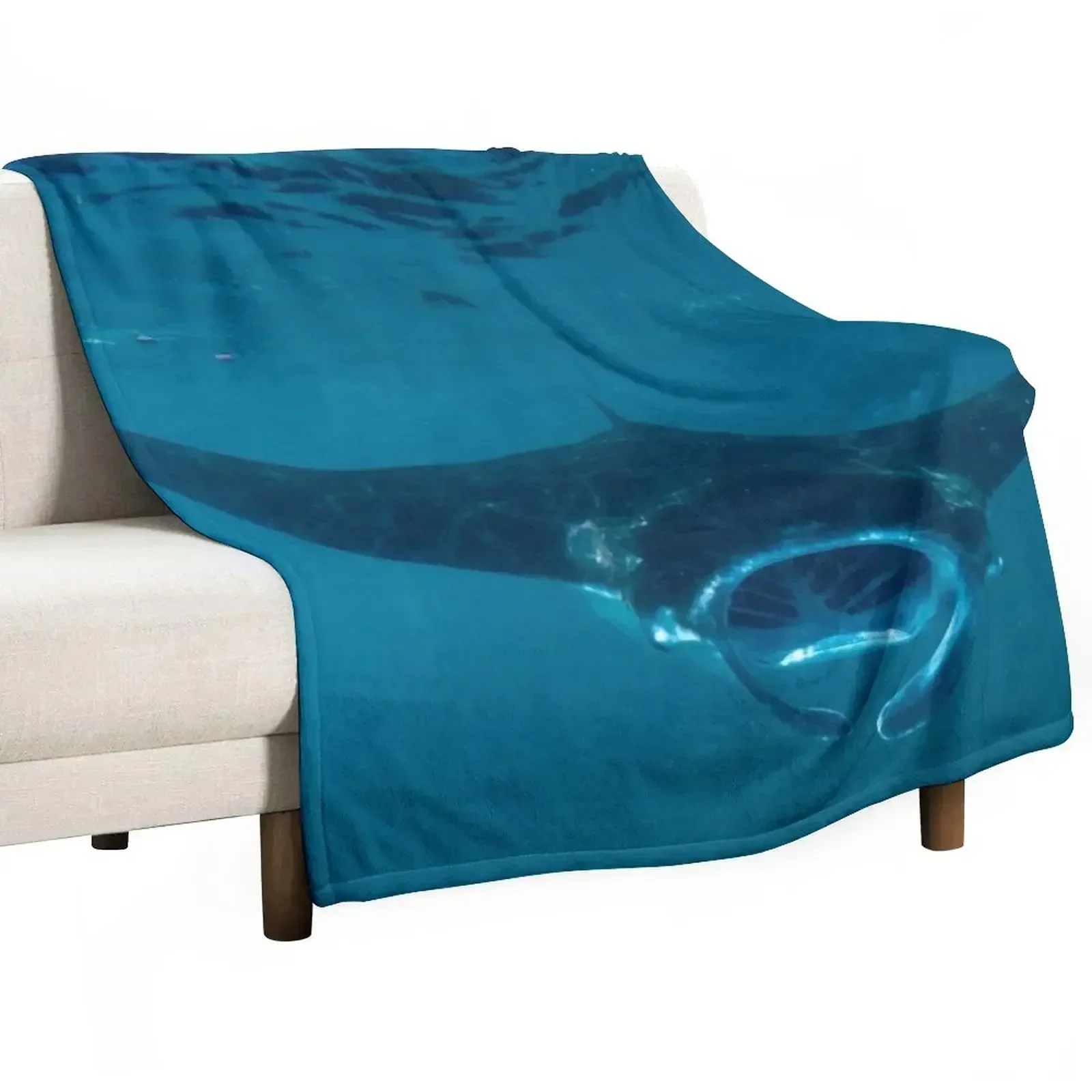 Curious Manta Ray At Crystal B - 3D Printing Bali บทวิจารณ์และราคา