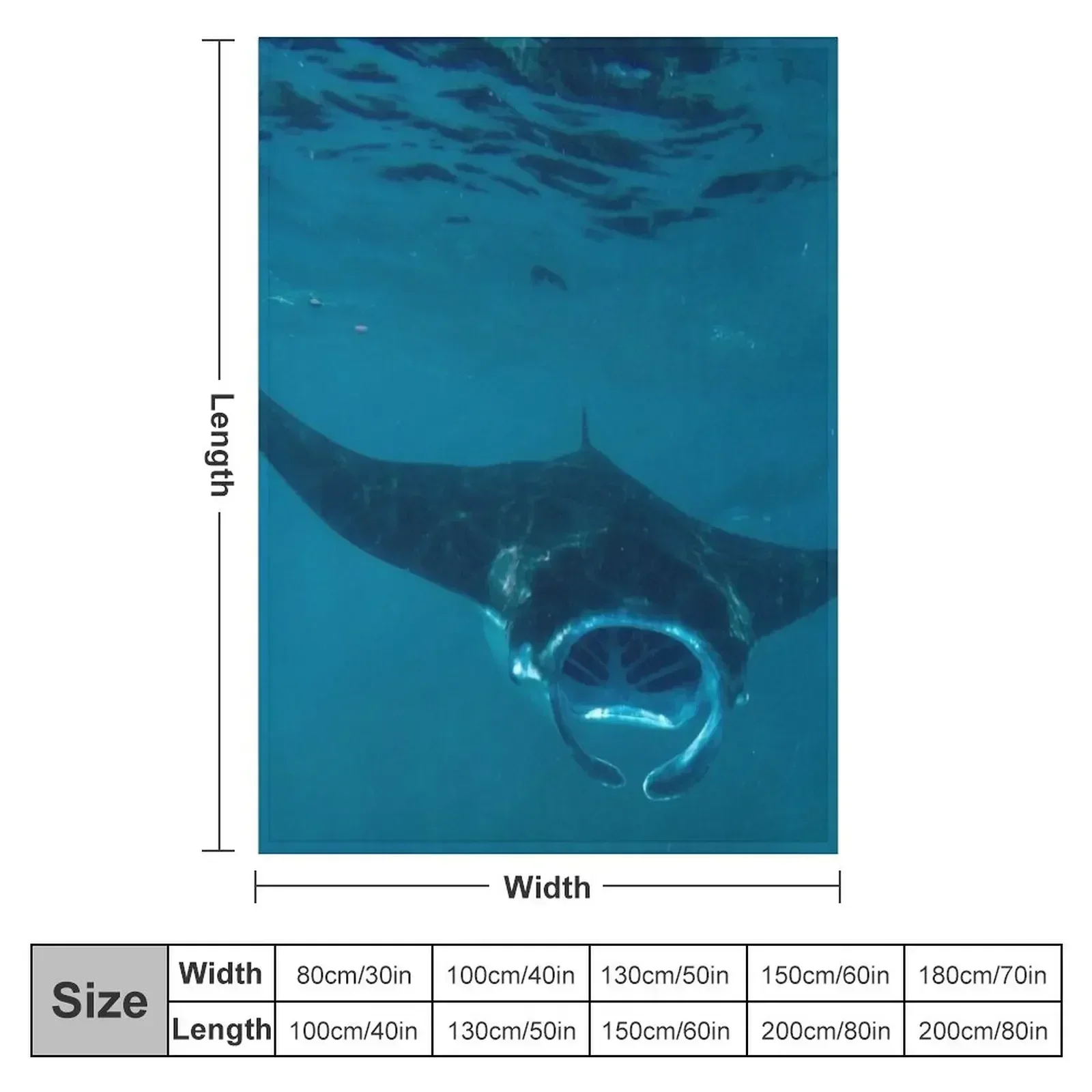 Curious Manta Ray At Crystal B - 3D Printing Bali บทวิจารณ์และราคา
