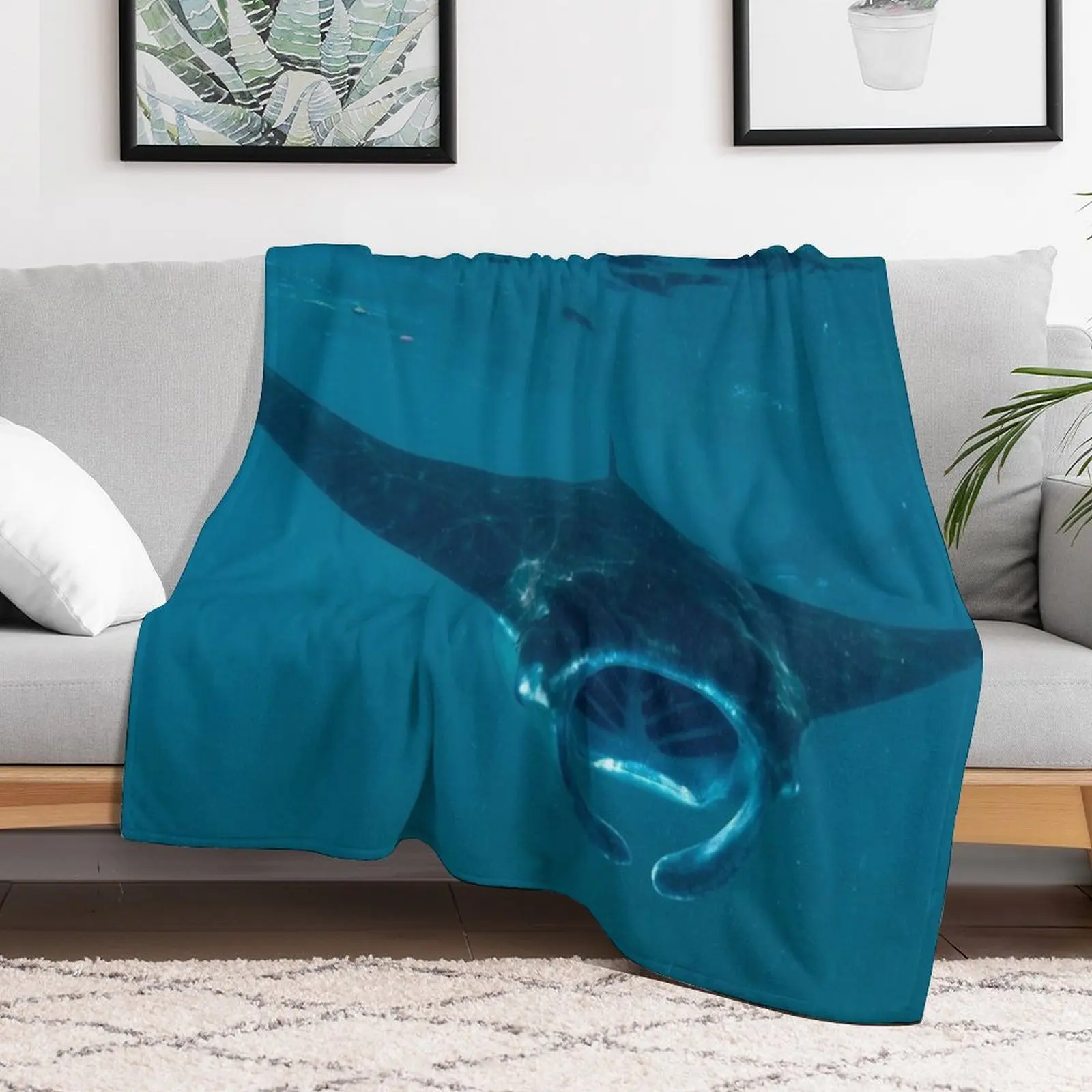 Curious Manta Ray At Crystal B - 3D Printing Bali บทวิจารณ์และราคา