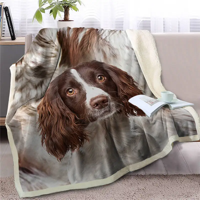 Two-layer Blanket Yorkshire Te - 3D Printing Yorkshire บทวิจารณ์และราคา